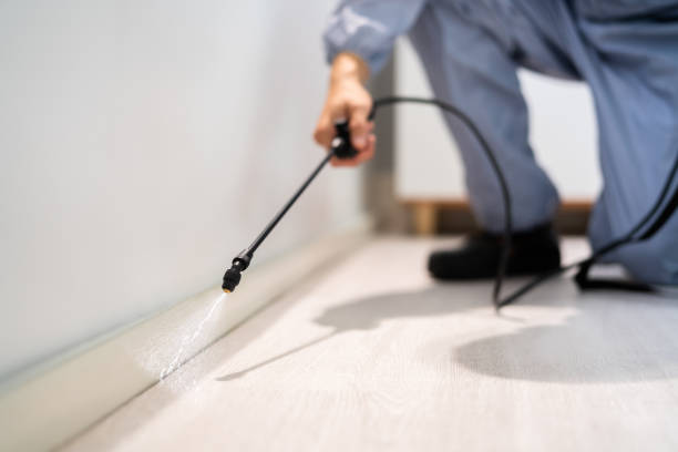 Licensed Pest Control service in Overland, MO - Show Me Pest Control